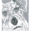 Schnauzer Dog - Original Hand Pulled Linocut Print