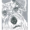 Schnauzer Dog - Original Hand Pulled Linocut Print