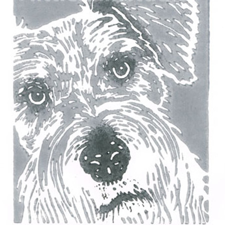 Schnauzer Dog - Original Hand Pulled Linocut Print