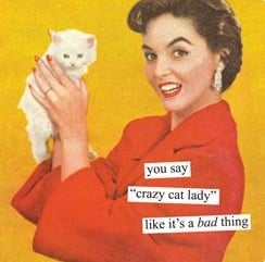 Crazy Cat Lady Blank Greeting Card