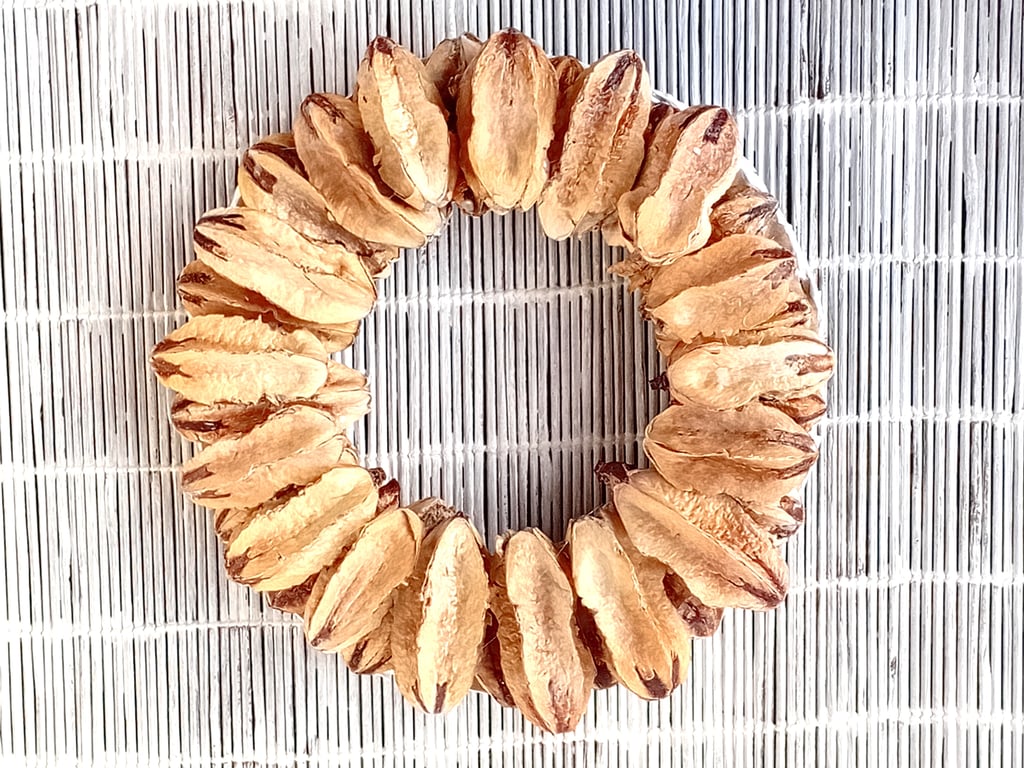 Contemporary dried Plant Seed Pods Wreath Ring Natural Decoration