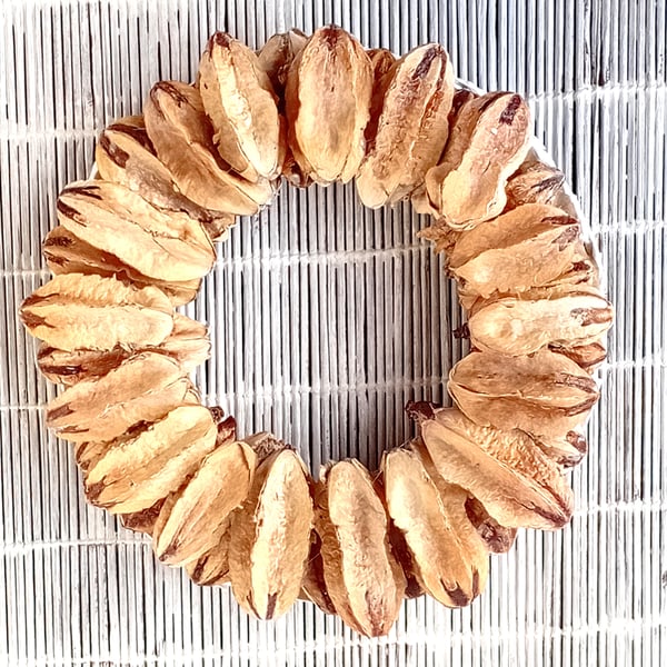 Contemporary dried Plant Seed Pods Wreath Ring Natural Decoration