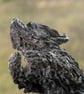 Leaping Bearded Collie Dog Statue Large Bronze Resin Garden Sculpture - Image 4