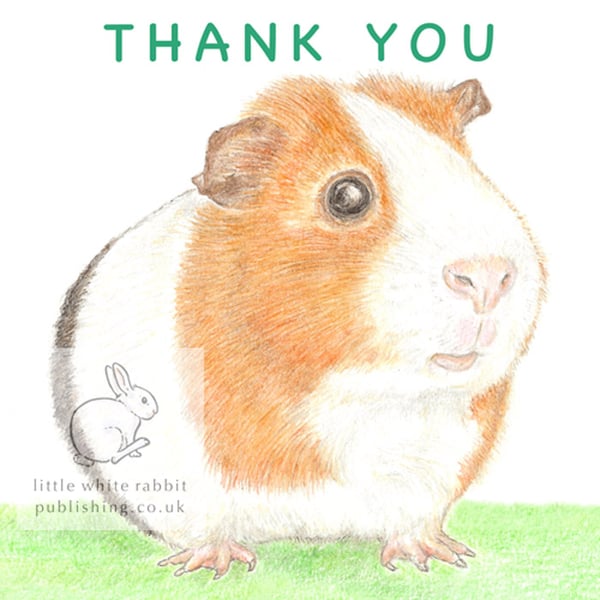 Gilbert the Guinea Pig - Thank You Card