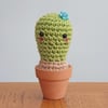 Dilys the Crochet Cactus