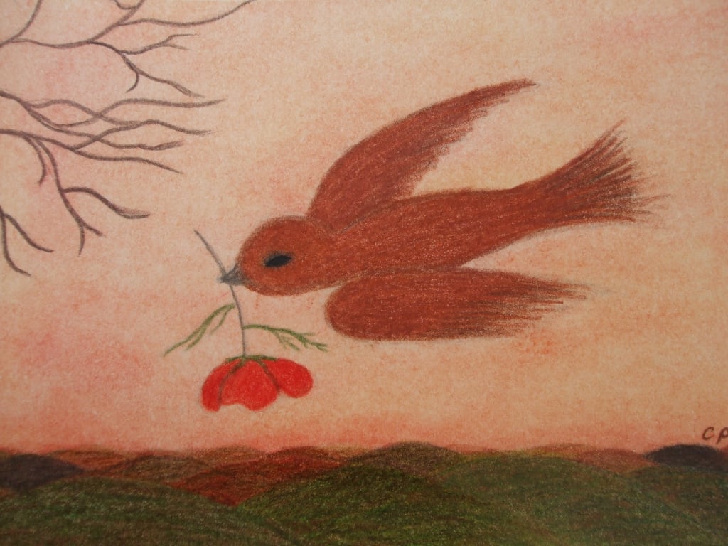 Bird Poppy Card, Sympathy Spiritual Art, Dove Flower, Blank Greeting card 