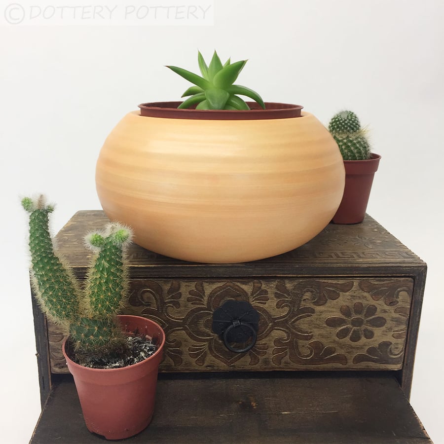 Handthrown ceramic pot plant pot cactus pot orange bowl
