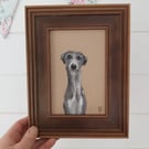 Framed Original Art Soft Pastel Drawing Whippet Greyhound Sighthound Dog 