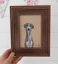 Framed Original Art Soft Pastel Drawing Whippet Greyhound Sighthound Dog 