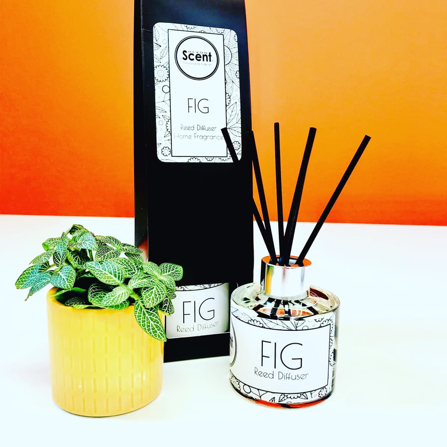 FIG Home Fragrance Reed Diffusser