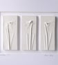 Framed Mini Snowdrop plaster cast Plaques in handmade Oak frame - Image 3