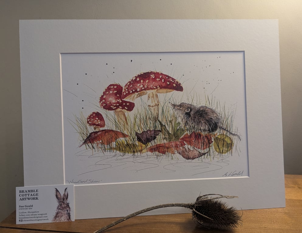 Woodland Shrew, an A4 or A3 print of an original painting
