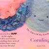 The Tales Of The Enchanted Cornlings - Children's Story Book