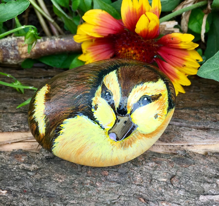 Duckling painted pebble garden rock pet 