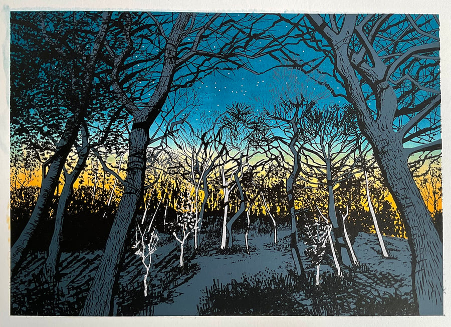 'Night Trees' original screen print MISPRINT