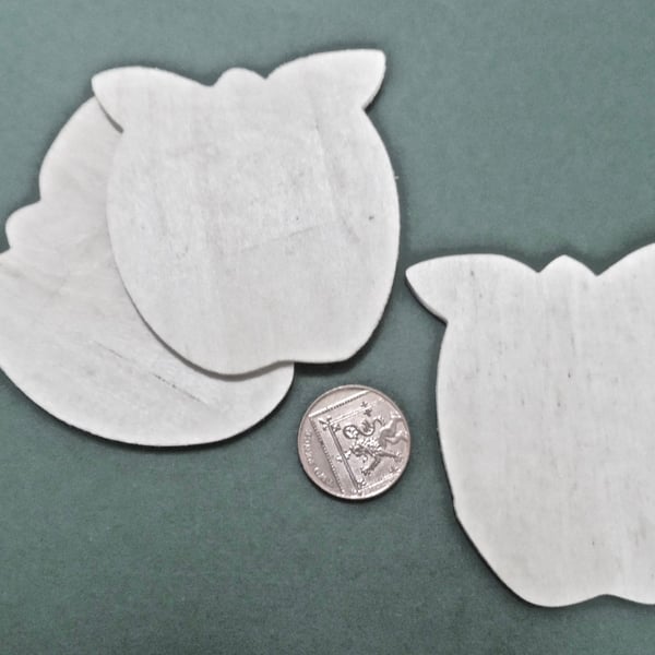 5 x Wooden Plaques   Unfinished 3mm Plywood APPLE Shape NOT laser cut