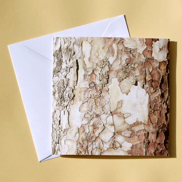 Greetings Card - Blank - Plane Tree Bark