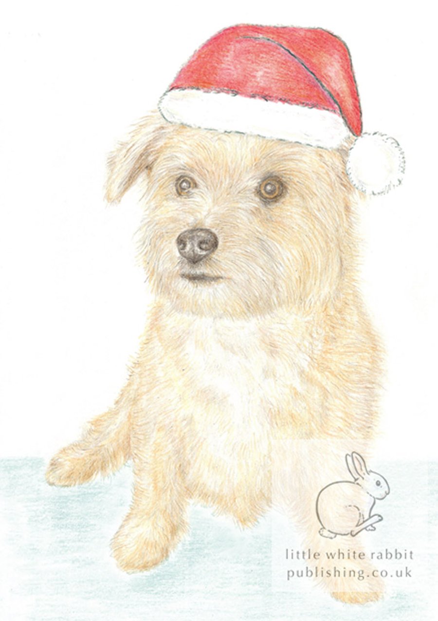 Muffin the Little Dog - Christmas Hat Card