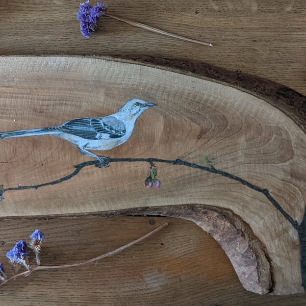 Original Mockingbird painting on reclaimed and repurposed wood (apple wood)