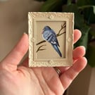 Pigeon Bird Miniature Painting