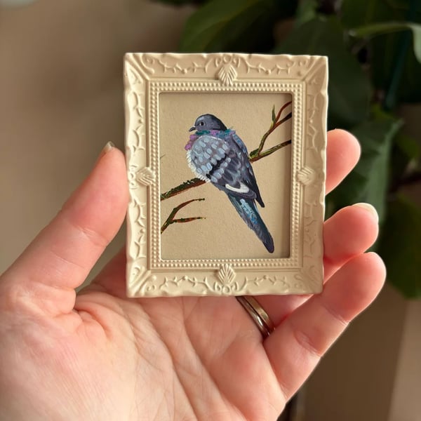 Pigeon Bird Miniature Painting