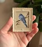 Pigeon Bird Miniature Painting
