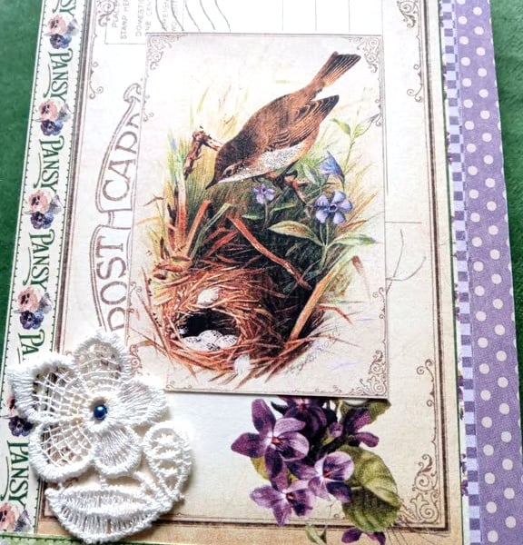 Vintage-style pretty bird card - Bird greeting card  - Special Occasion Card