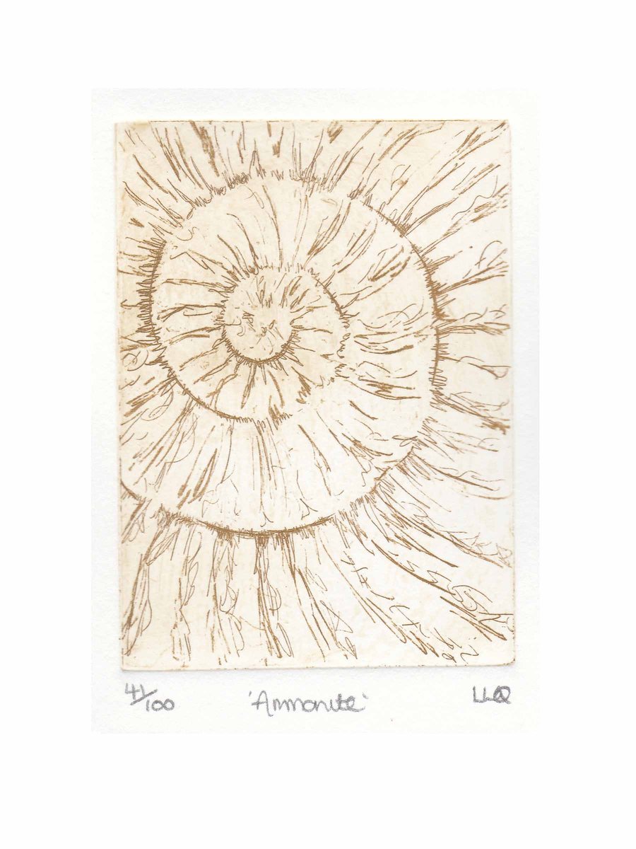 Etching no.41 of an ammonite fossil in an edition of 100