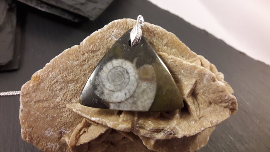 Ammonite Triangular Pendant on Sterling Silver Chain