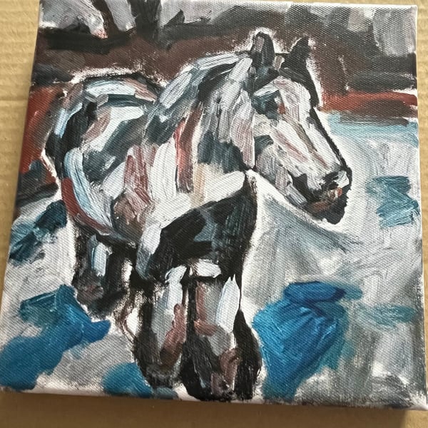 Canvas print of a Kent Pony in Winter Snow