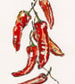 Chillies print - Image 1