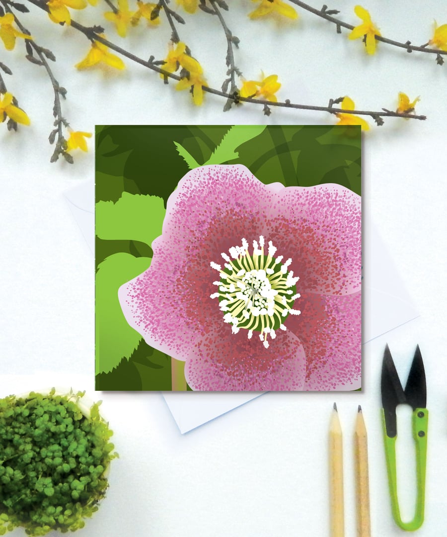 Hellebore card - Spring, flower, woodland