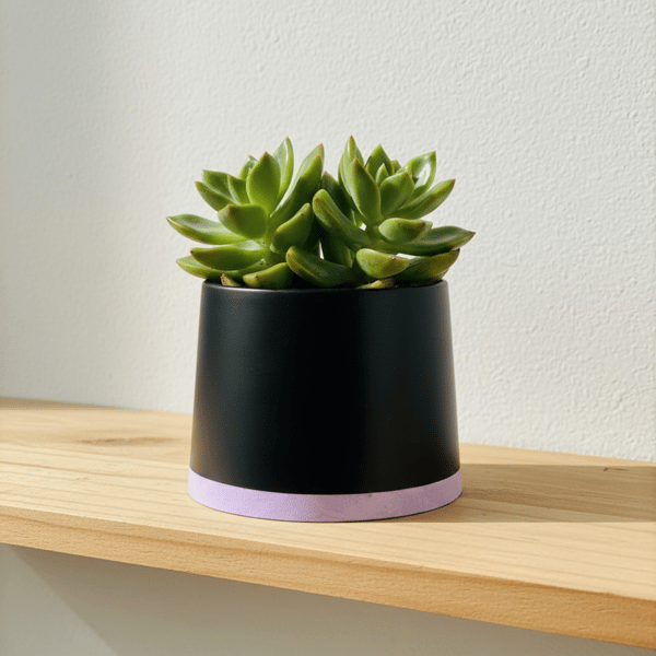 Small 7.5 cm Black and Lilac Plant Pot Indoor Succulent Planter