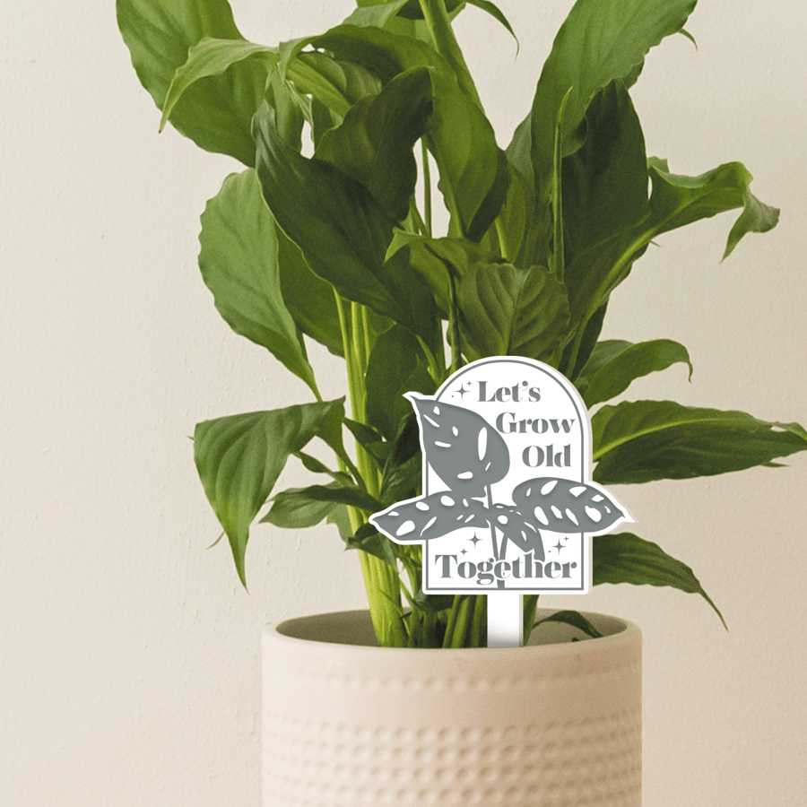 Let's Grow Old Together - Acrylic Plant Tag: Funny Plant Pun, Cute Small Gift 