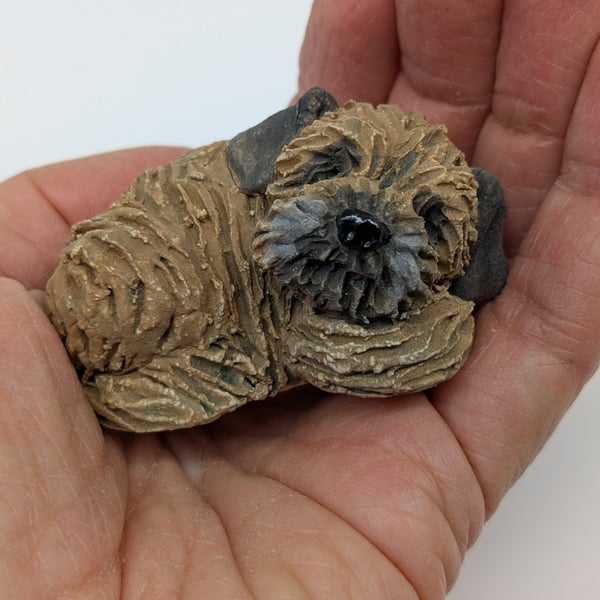 Mini Curled Border Terrier 2