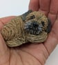 Mini Curled Border Terrier 2