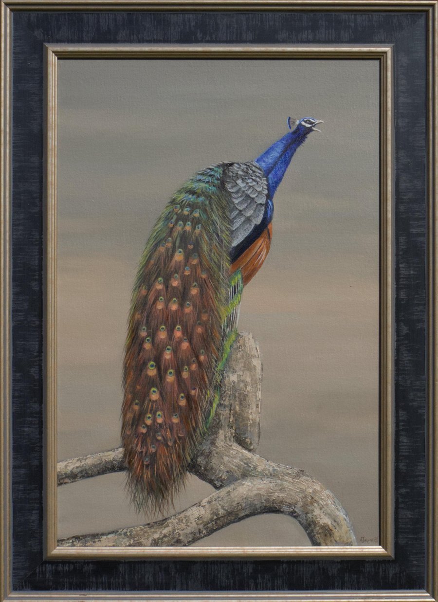 Peacock , Bird Oil Painting, Original Framed Artwork full of colour
