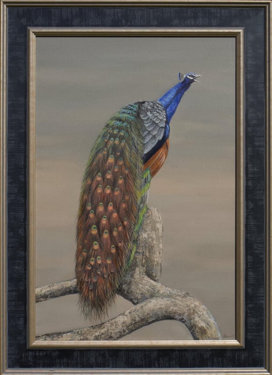 Peacock , Bird Oil Painting, Original Framed Artwork full of colour