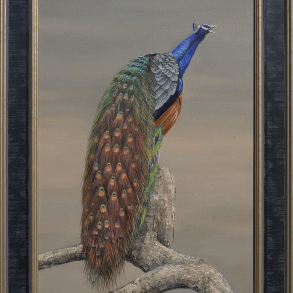 Peacock , Bird Oil Painting, Original Framed Artwork full of colour