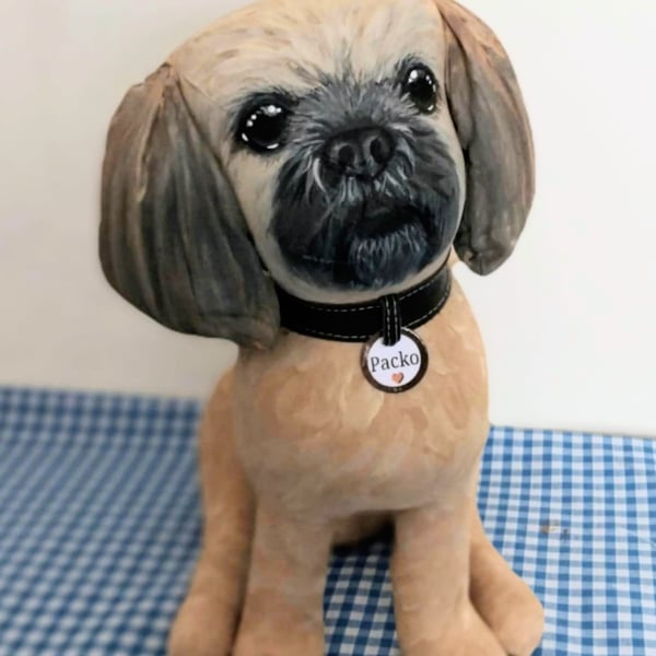 Shih Tzu
