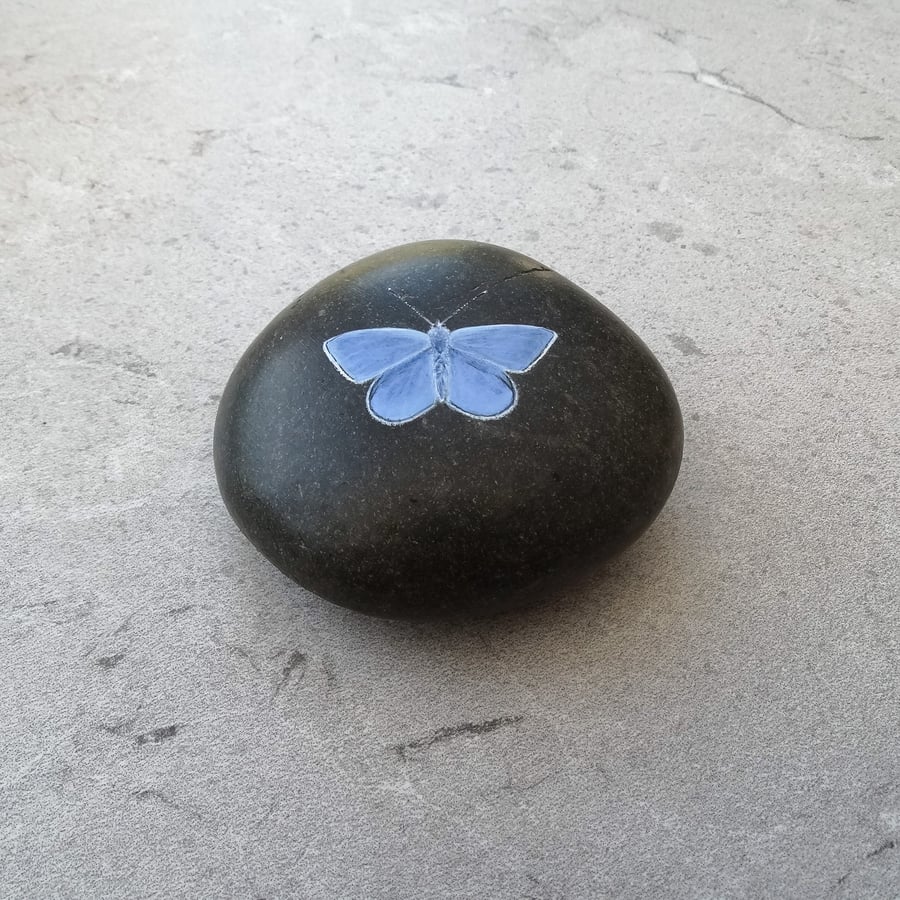 Butterfly Art Hand Painted Stone Pebble 'Common Blue Butterfly'