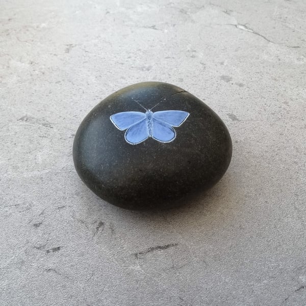 Original Art Common Blue Butterfly Hand Painted Stone Pebble