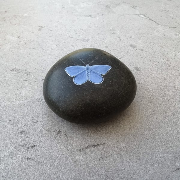 Butterfly Art Hand Painted Stone Pebble 'Common Blue Butterfly'