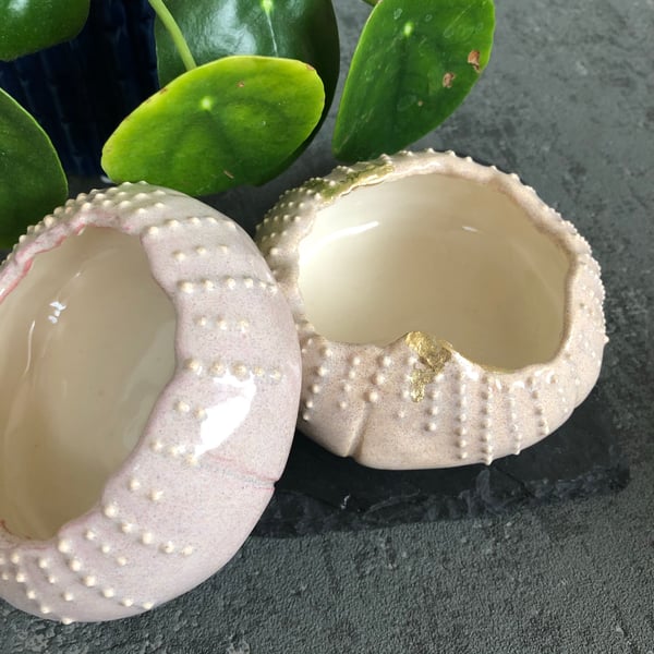 Ceramic succulent planter