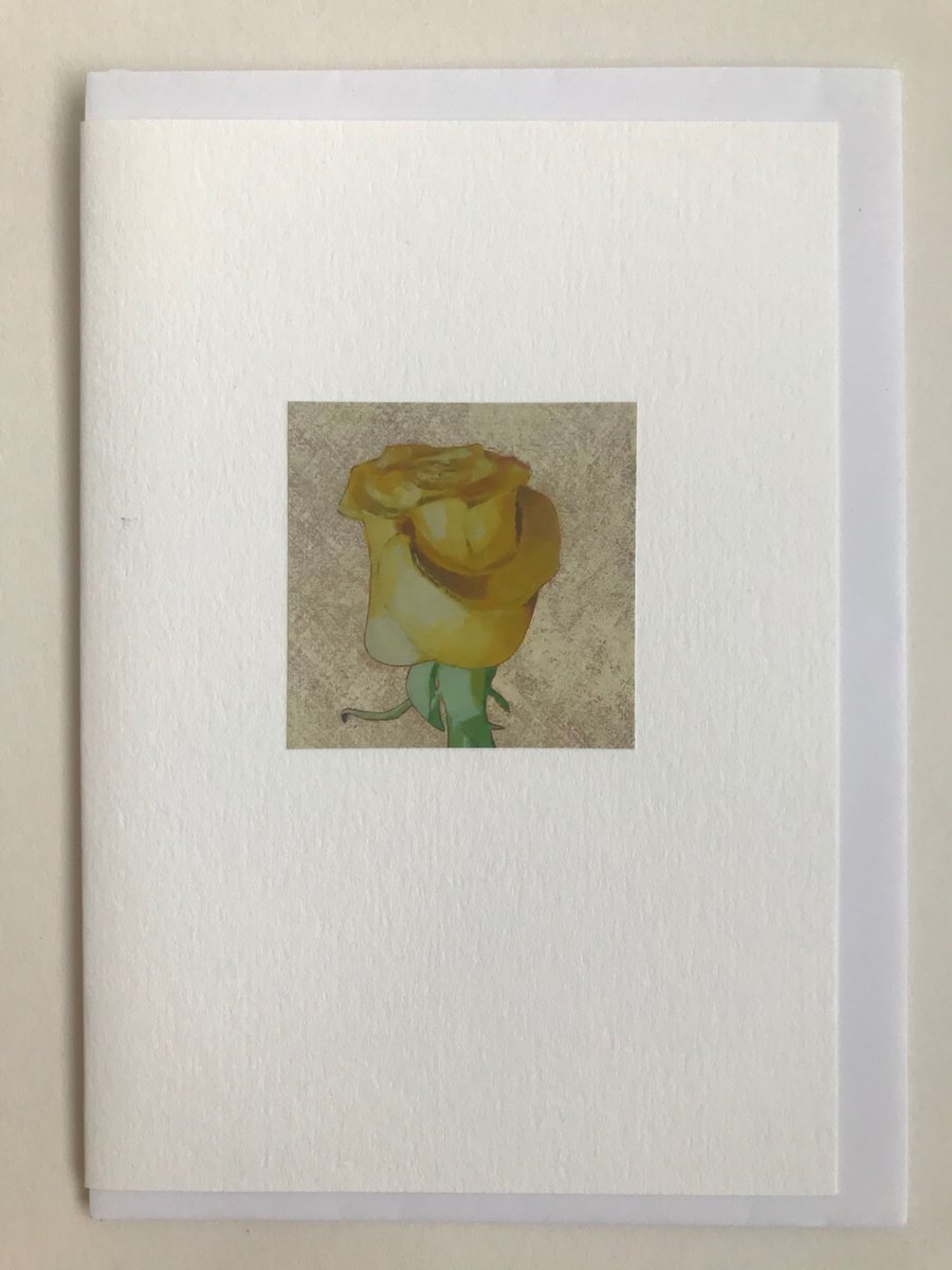 Yellow Rose