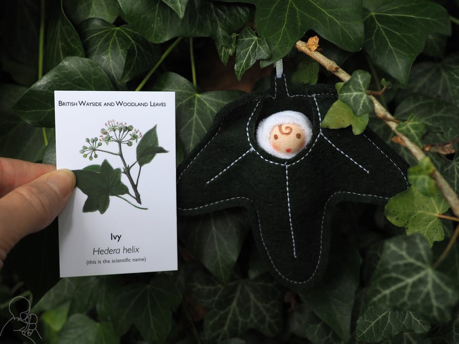 Tiny woodland fairy in an ivy leaf