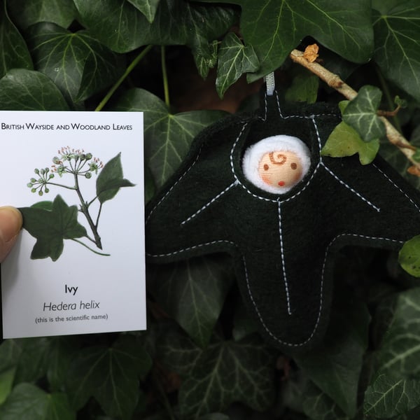 Tiny woodland fairy in an ivy leaf