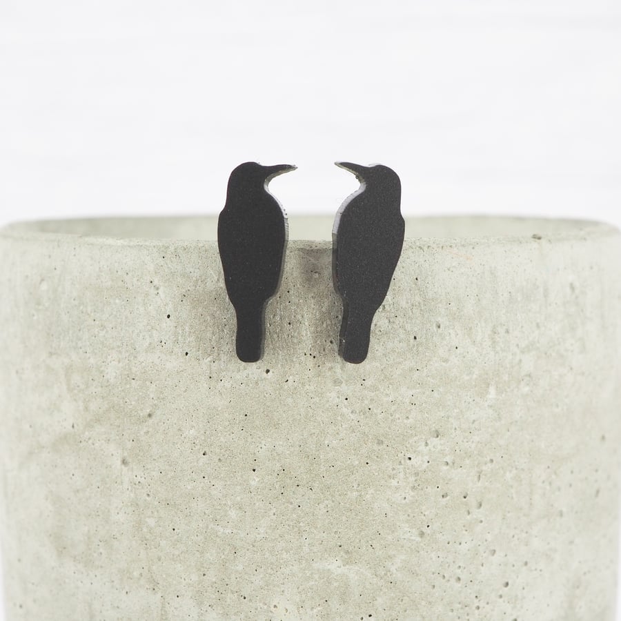 Titanium posts, Matte black crow studs