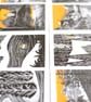 Wilderness Collection - Box of 12 Small Cards - Image 7