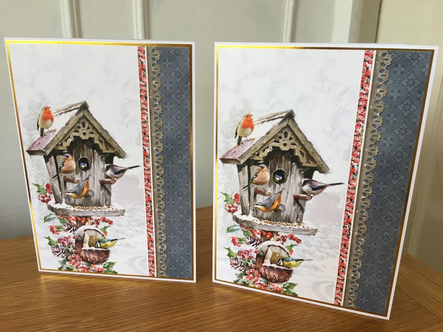 Set of 2 x Garden Bird Christmas Cards